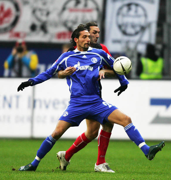 路和培养球 路和培养球